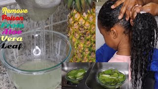 HOW TO PROPERLY REMOVE THE POISON FROM ALOE VERA/NO ITCHING AND NO FLAKES
