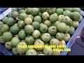 street food india 2017 traditional chennai street food 2017 fruit salad 2017