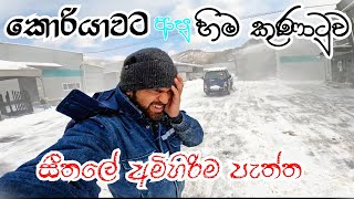 හදිස්සියේම කොරියාවේ අපේ ගමට ආපු හිම කුණාටුව ❄️| Lochi Boy in Korea #kdrama #koreanvisa #koreanexam