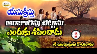 యేసుక్రీస్తు అంజూరపు చెట్టుని ఎందుకు శపించాడు ? పూర్తి వివరణ || Andrews Bathula