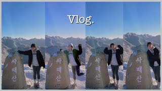 일주일 Vlog | 필라테스 | 보컬레슨 | 사패산 등산  | 애견카페 | 익선동 |