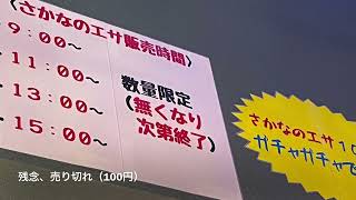 3歳児大喜び‼︎浜名湖体験学習施設ウォット