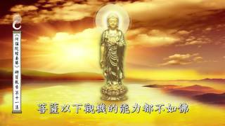 《阿彌陀經要解》研習報告 - 第十一集（一真博士 講述）