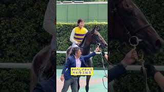 セイウンデセオ号、小倉新馬戦勝利！今村聖奈騎手#shorts