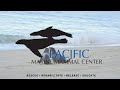 Pacific Marine Mammal Center 2020