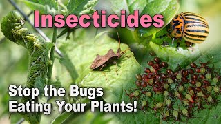 Common Insecticides: When and How to Use Them