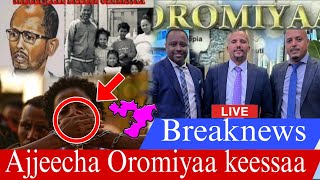 Ajjeecha Oromiyaa keessaa Maltu Jira BREAKNEWS #jawarmohammed #abiyahmed #jaal_marroo#Shimallis