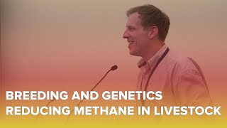 Genetic Approaches to Curbing Methane Emissions in Forage-based Beef Cattle
