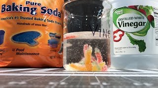 How to make Dancing Gummy Worms with Baking Soda and Vinegar