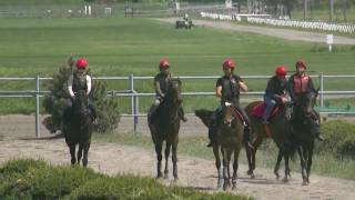 [愛知ステーブル]2歳馬の調教風景・6月-3