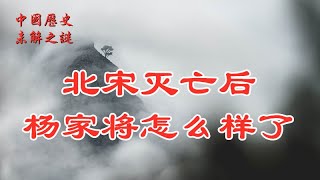 【中国历史未解之谜】北宋灭亡后，杨家将怎么样了？