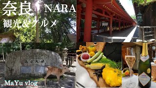 【奈良】春日大社⛩🍃森の中のレストラン🍃🌳フレンチランチ😋Nara vlog❤Nara,Japan[SUB]