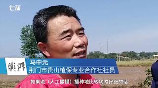 珠海羽人：无人机“秒播”水稻，一亩田几分钟播种完