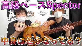 モダンハイエンドベースの王者、Spectorを分解しました！！