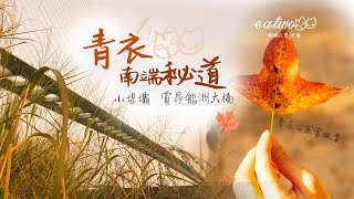 青衣路線｜青尚路防坡堤｜昂船洲大橋｜賞楓系列｜青衣公園｜紅葉｜楓葉｜Tsing Yi｜Stonecutters Bridge｜Hong Kong Travel｜旅遊景點｜ E.A.TWO｜兩隻嘢玩乜好