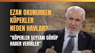 Ezan Okunurken Köpekler Neden Havlar? \