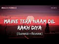 Maine Tera Naam Dil Rakh Diya (Slowed + Reverb) | Raghav Chaitanya, Shreya Ghoshal | SR Lofi