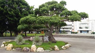 107年臺中市建國國小英語歌謠競賽