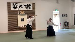 Aiki Weapons ~ Kumi Jo 1-10