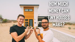 How much does this $165,000 Tiny House make on Airbnb? | Meeting the Host