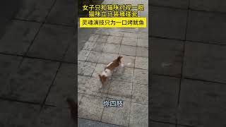 女子只和流浪猫对视一眼，猫咪立马装瘫碰瓷，灵魂演技只为一口烤鱿鱼 #搞笑 #萌宠 #宠物生活