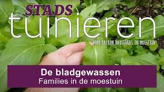 Stadstuinieren - De bladgewassen - Families in de moestuin #moestuin