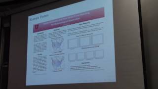 Data Mining - Lecture 1 (Spring 2017)
