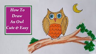 How to draw an owl easy, Owl drawing and coloring step by step drawing for kids