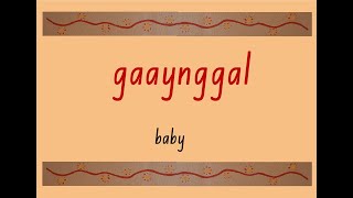 Garay Gibu-gu (Word of the Week): gaaynggal (baby)