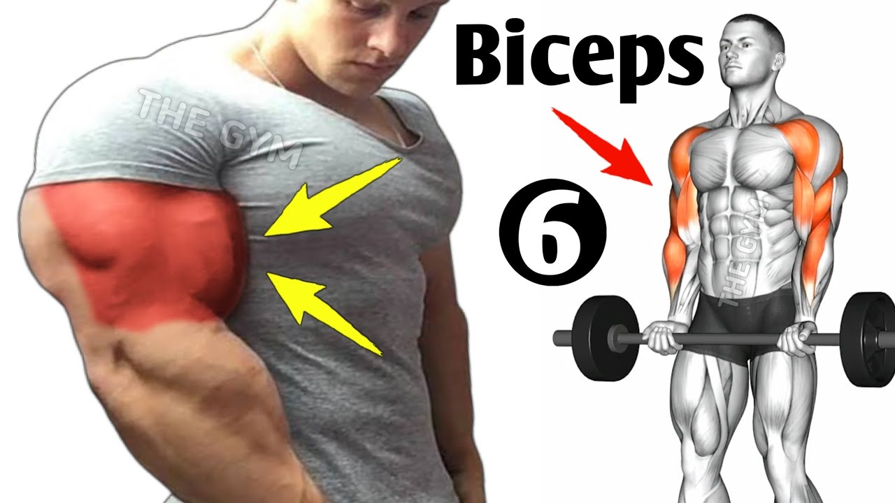 6 Bigger Biceps Exercises Fastest Youtube