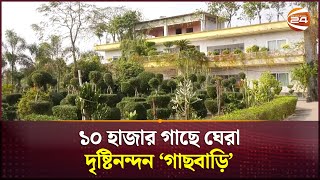 ১০ হাজার গাছে ঘেরা দৃষ্টিনন্দন ‘গাছবাড়ি’ | Jhenaidah News | Tree House | Channel 24