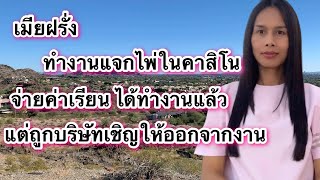 เมียฝรั่งทำงานแจกไพ่ในคาสิโน แต่ถูกเชิญให้ออกจากงาน | เทยไทยในอเมริกา