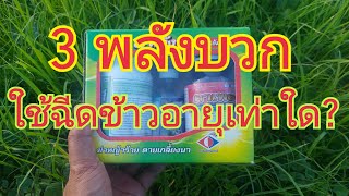 3 พลังบวก...ใช้กับข้าว อายุกี่วัน 🌿 0899428684 0925164252  0650495999