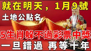 土地公顯靈了！1月9號，這5個生肖躲不過彩票中大獎，正財橫財一發再發，有錢有福金滿屋！錯過再等10年！【般若之音】#生肖 #運勢 #風水 #財運