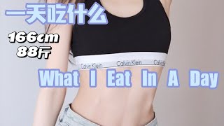 【What I Eat In A Day VLOG】166/88斤 我一天吃什么？我的减脂思路！养成易瘦体质除了多喝水、保持运动习惯，多吃蛋白质和蔬菜也很重要！让身体习惯一个比较稳定的进食习惯！