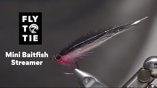 Mini Baitfish Streamer | FlyToTie Fly Tying