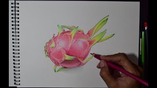 how to draw dragon fruit with colour pencils - menggambar buah naga dengan pencil warna