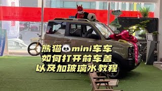 家人们，这是我的熊猫车车陪我到的第三个城市，武汉 #吉利熊猫mini #熊猫mini #新能源汽车 #用车小知识