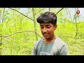 রঙিন সজনে চাষে মাসে আয় লাখ টাকা moringa farming bd krishi news