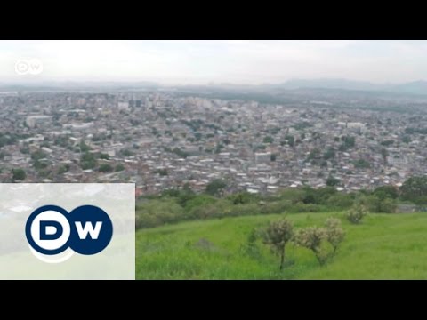 What are the environmental features of Brazil?