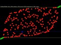 Cocktail Shaker Sort - Sorting Algorithms