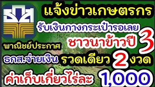 แจ้งข่าวเกษตรกร#จ่ายเงินชาวนา#ประกันรายได้ข้าว#เงินค่าเก็บเกี่ยวไร่1000#เงินช่วยชาวนาไร่ละ1000#ข้าว