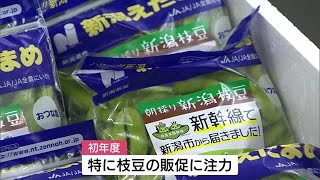 枝豆の販促に手応え！　新潟市・ＪＡが設立した“戦略会議”　初年度の活動を総括 (22/03/29 12:00)