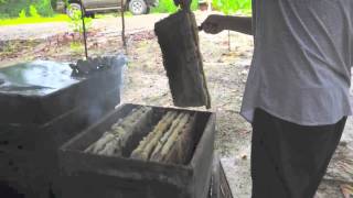 Borneo Acacia Raw Honey Bee Farm