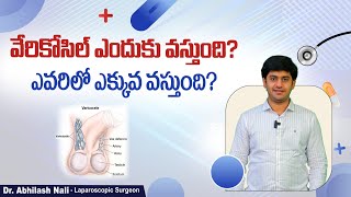 వేరికోసిల్ కు కారణాలు | Causes and Symptoms of Varicocele in Telugu | Infertility | Dr Abhilash Nali