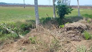 2 acres 60 lakh per acre kesavaram village attili mandal west godavari