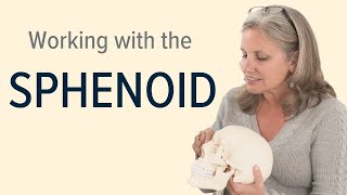 Working with the Sphenoid