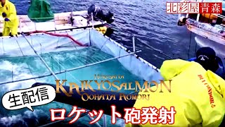 ライブ配信 津軽海峡にロケット砲発射 青森 海峡サーモン 稚魚の放流 かいきょうさーもん 大畑漁港 北彩屋