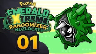 Pokemon Emerald Extreme Randomizer Nuzlocke Download Gba Rom Pokemon Emerald Extreme Randomizer Nuzlocke Download Gba Rom