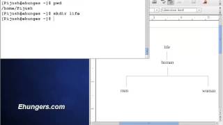 Using mkdir (make directory) command in Linux